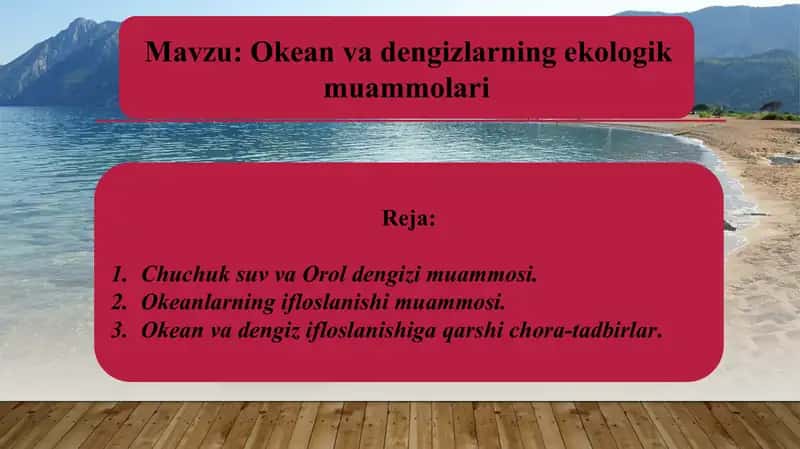 Okeanvadengizlarning ekologik muammolari