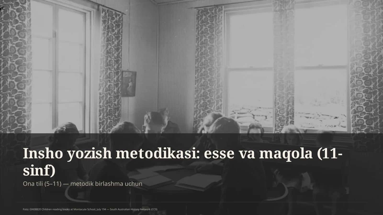 Insho yozish metodikasi: esse va maqola (11-sinf)