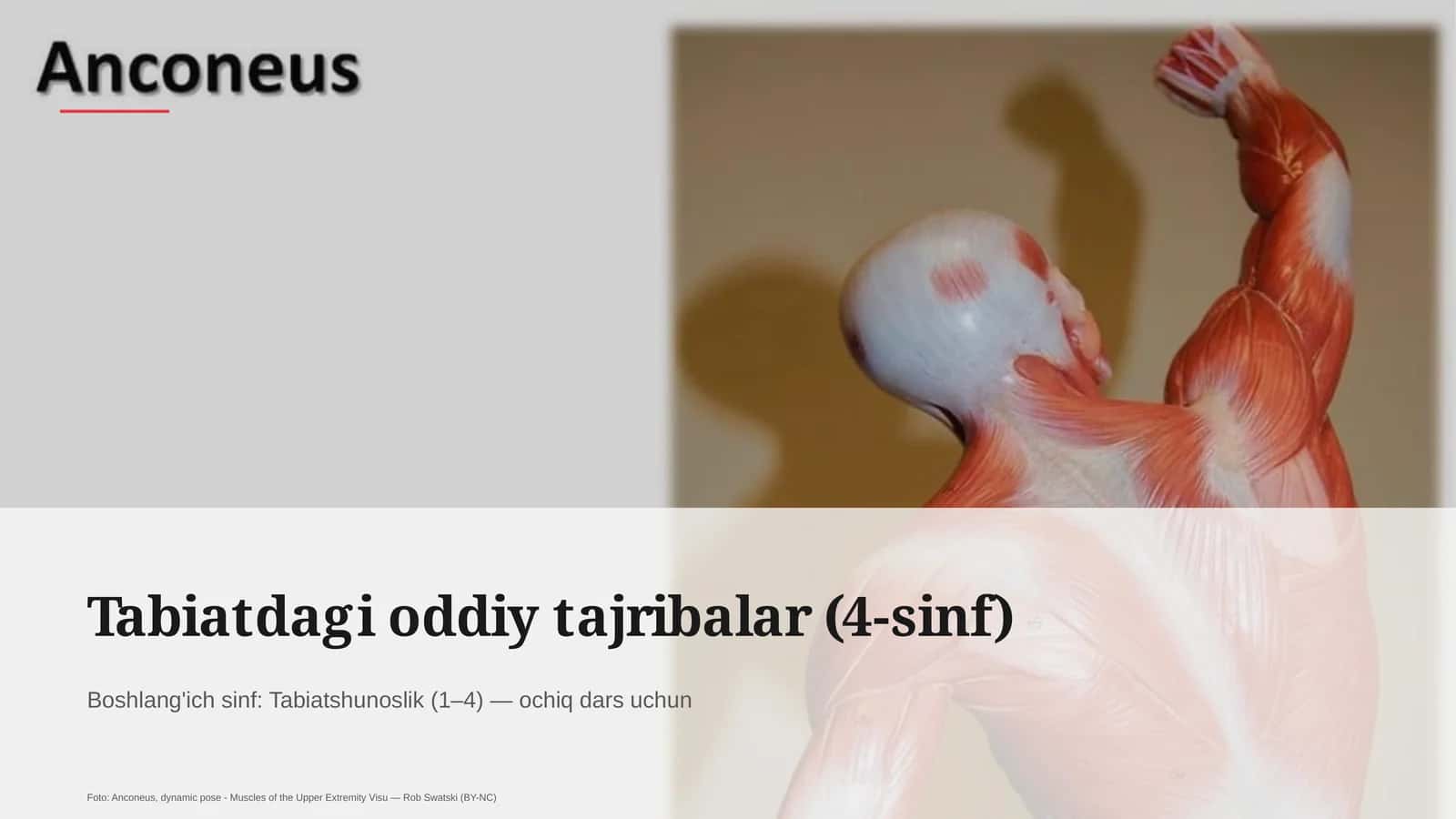 Tabiatdagi oddiy tajribalar (4-sinf)