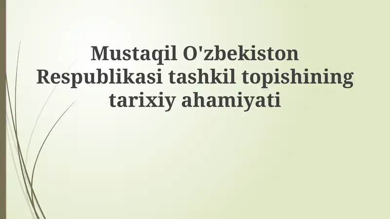 Mustaqil O'zbekiston Respublikasi tashkilotining tarixiy ahamiyati