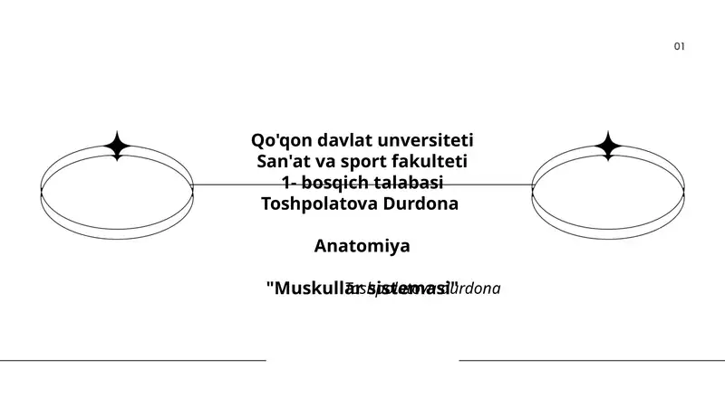 Muskullar sistemasi