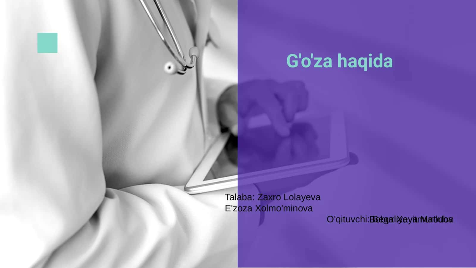 G'o'za haqida