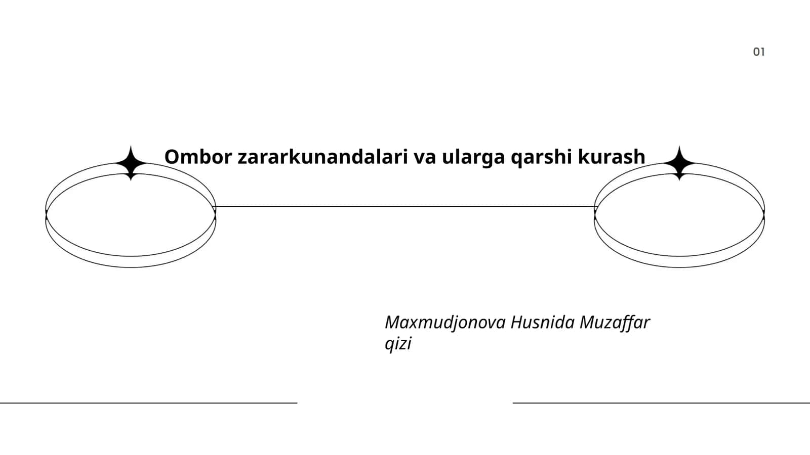 Ombor zararkunandalari va ularga qarshi kurash