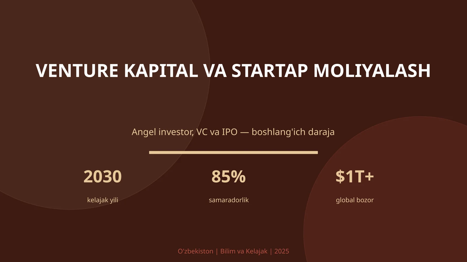 Venture Kapital va Startap Moliyalash