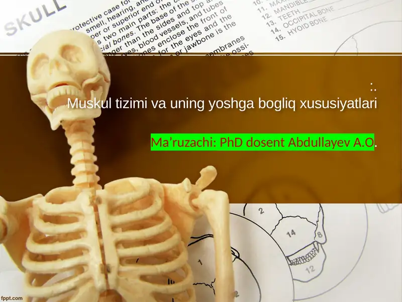 Muskultizimivauningyoshgabogliqxususiyatlari