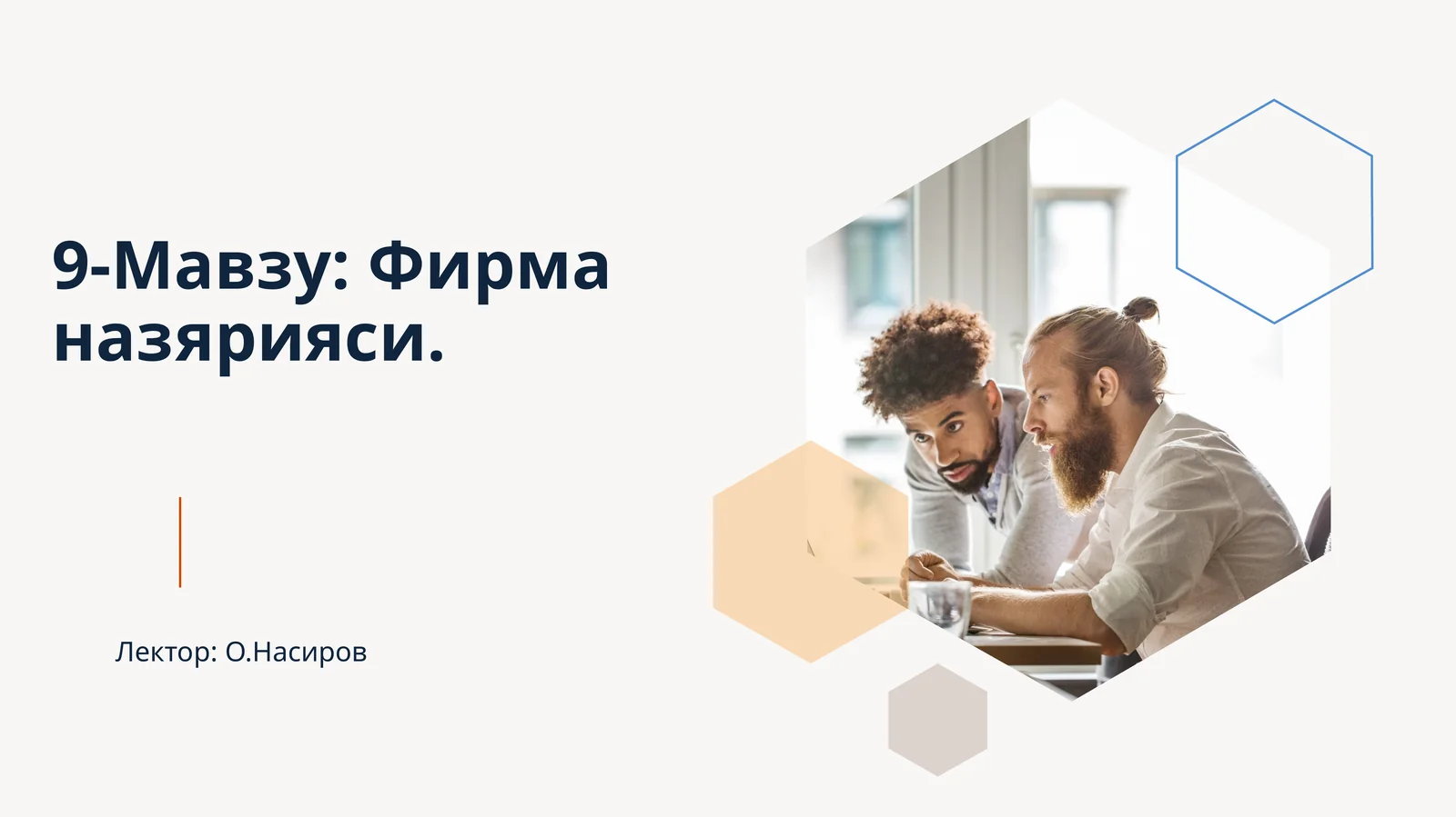 Фирма назярияси