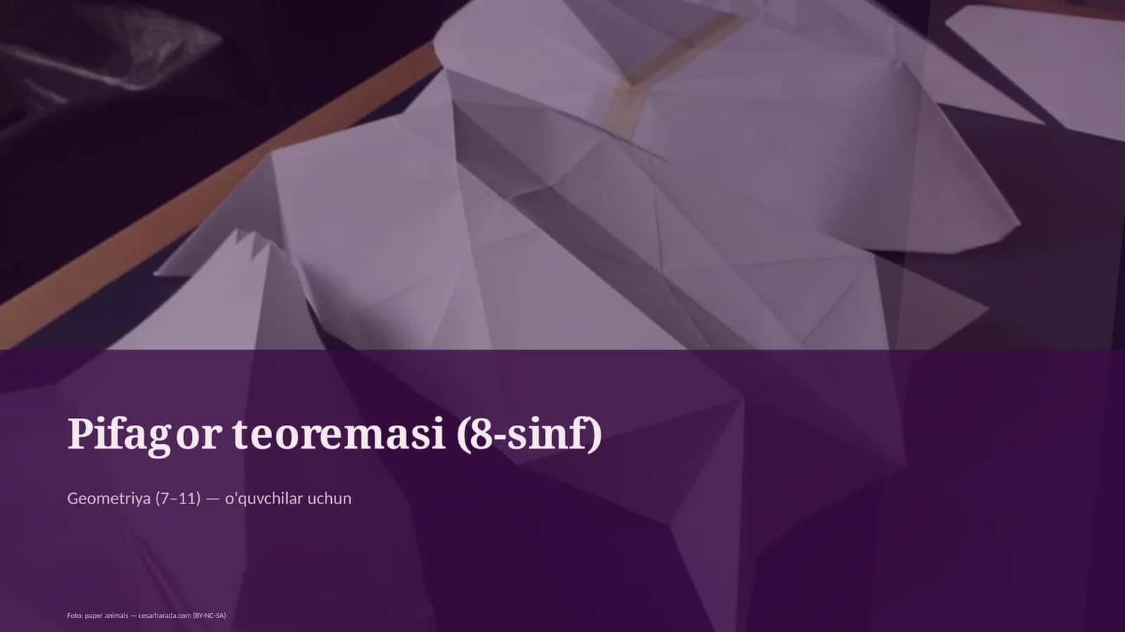 Pifagor teoremasi (8-sinf)