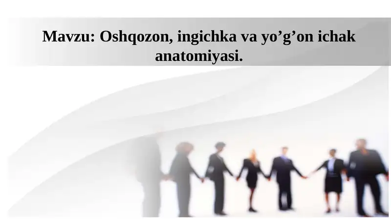 Oshqozon, ingichka va yo’g’on ichak anatomiyasi.