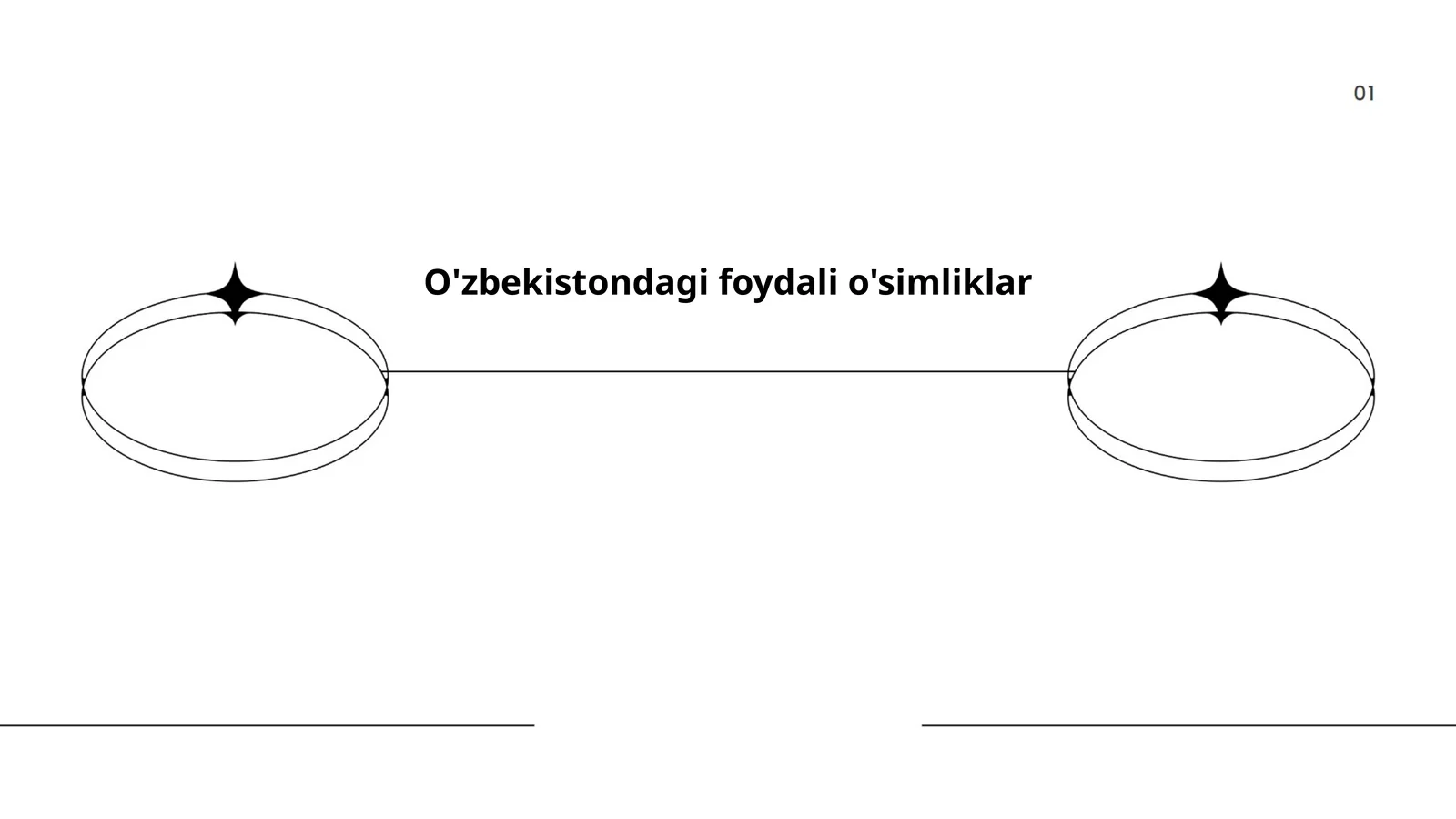 Gingko Biloba