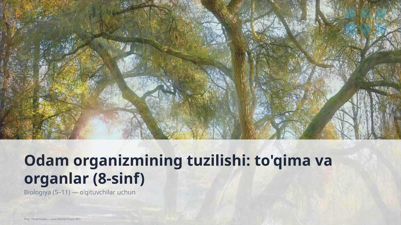 Odam organizmining tuzilishi: to'qima va organlar (8-sinf)