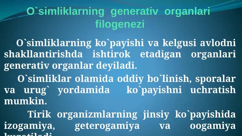 O`simliklarning  generativ  organlari  filogenezi