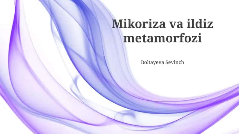 Mikoriza va ildiz metamorfozi