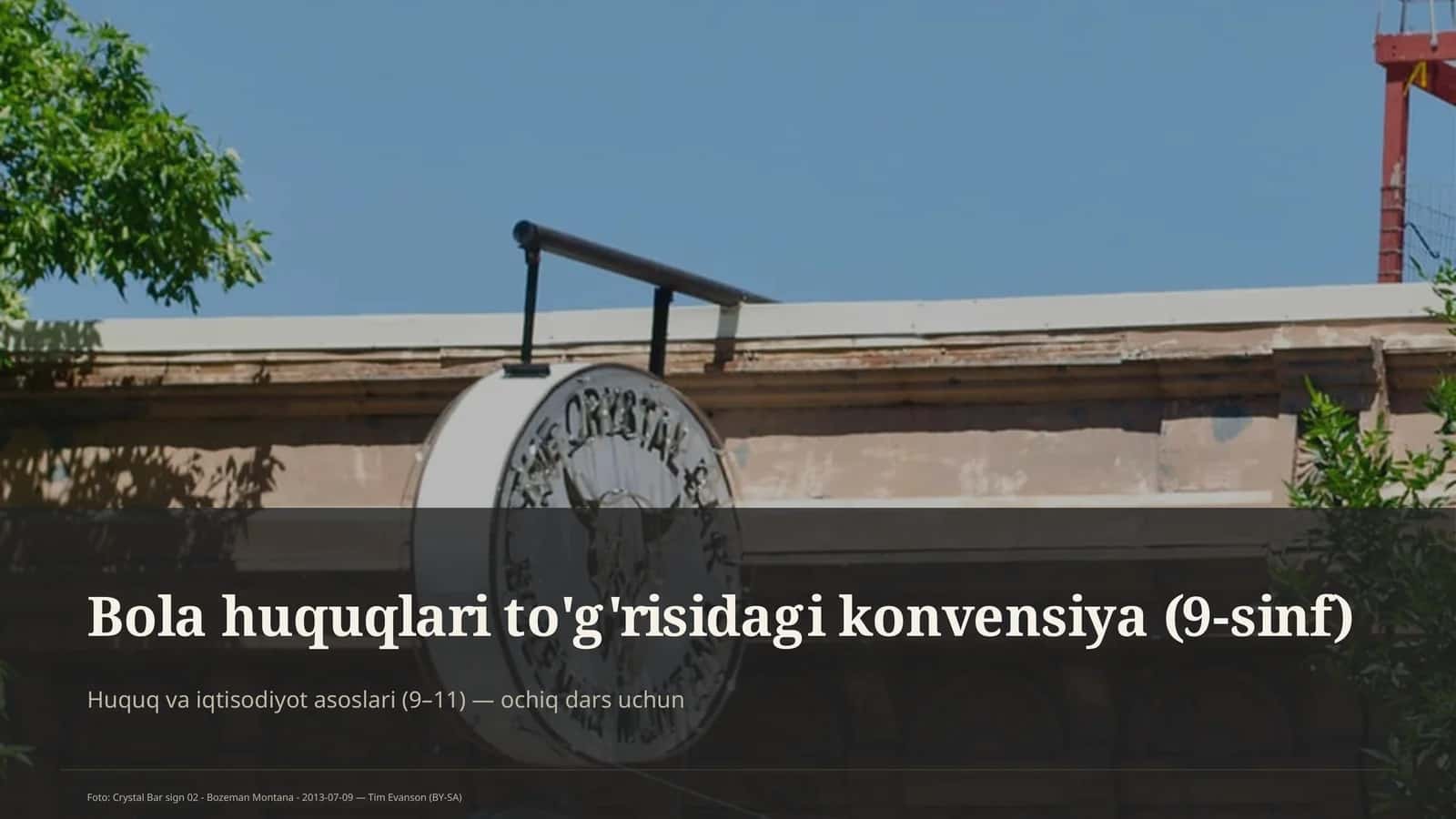Bola huquqlari to'g'risidagi konvensiya (9-sinf)