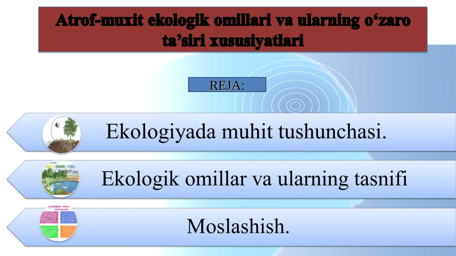 Ekologik muhit