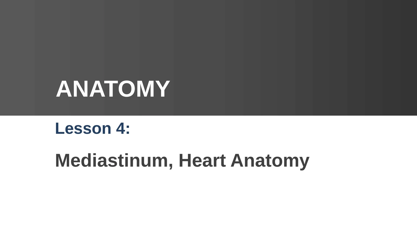 Mediastinum, Heart Anatomy