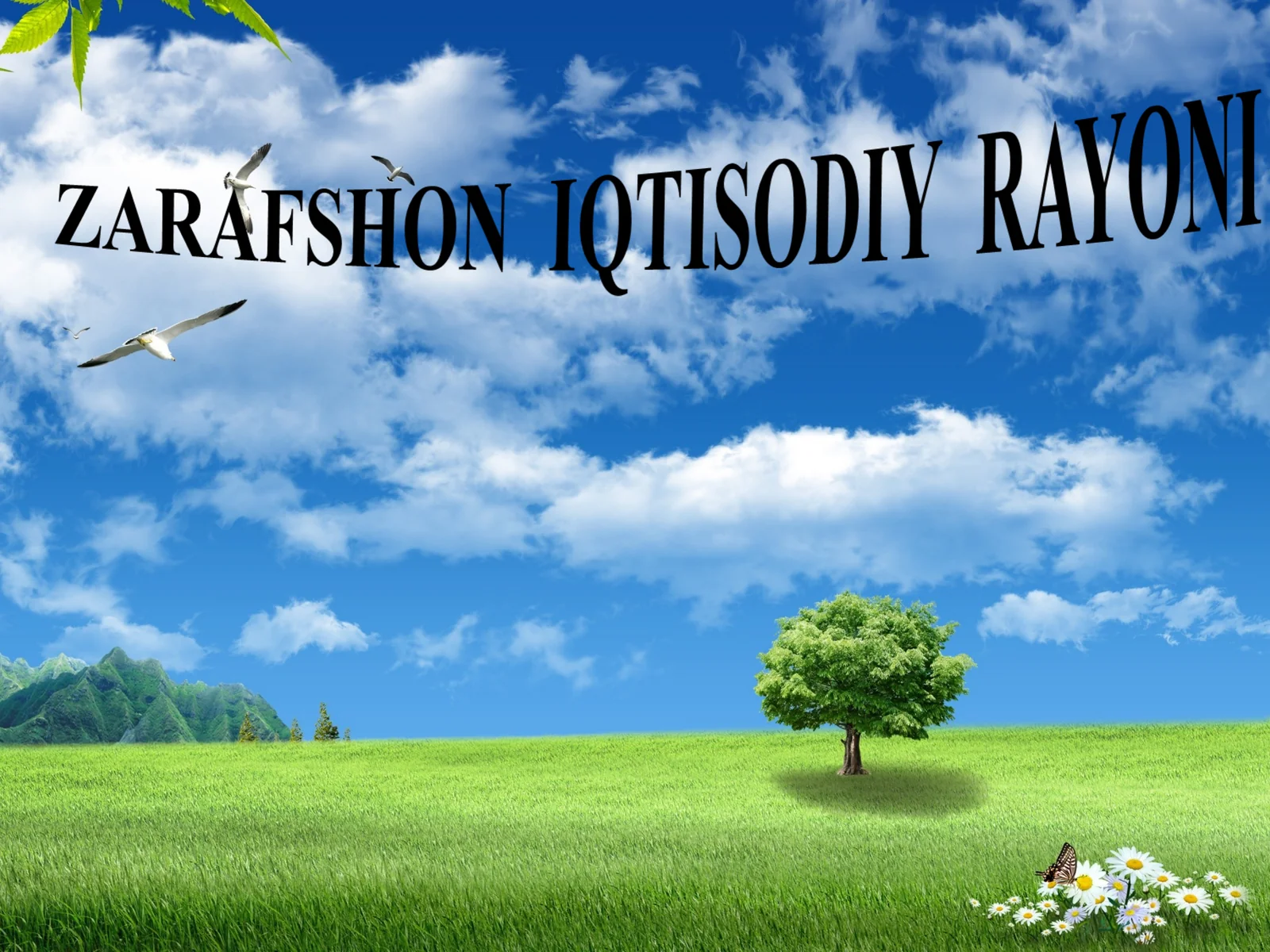ZARAFSHON IQTISODIY RAYONI