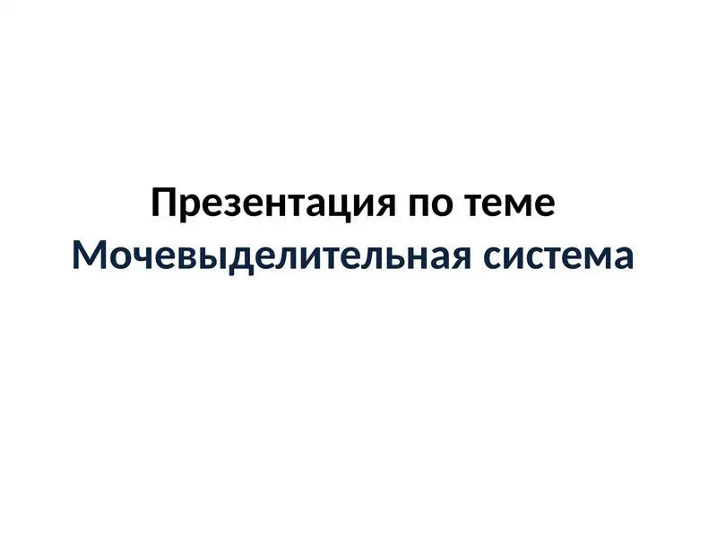 Презентация по теме Мочевыделительная система