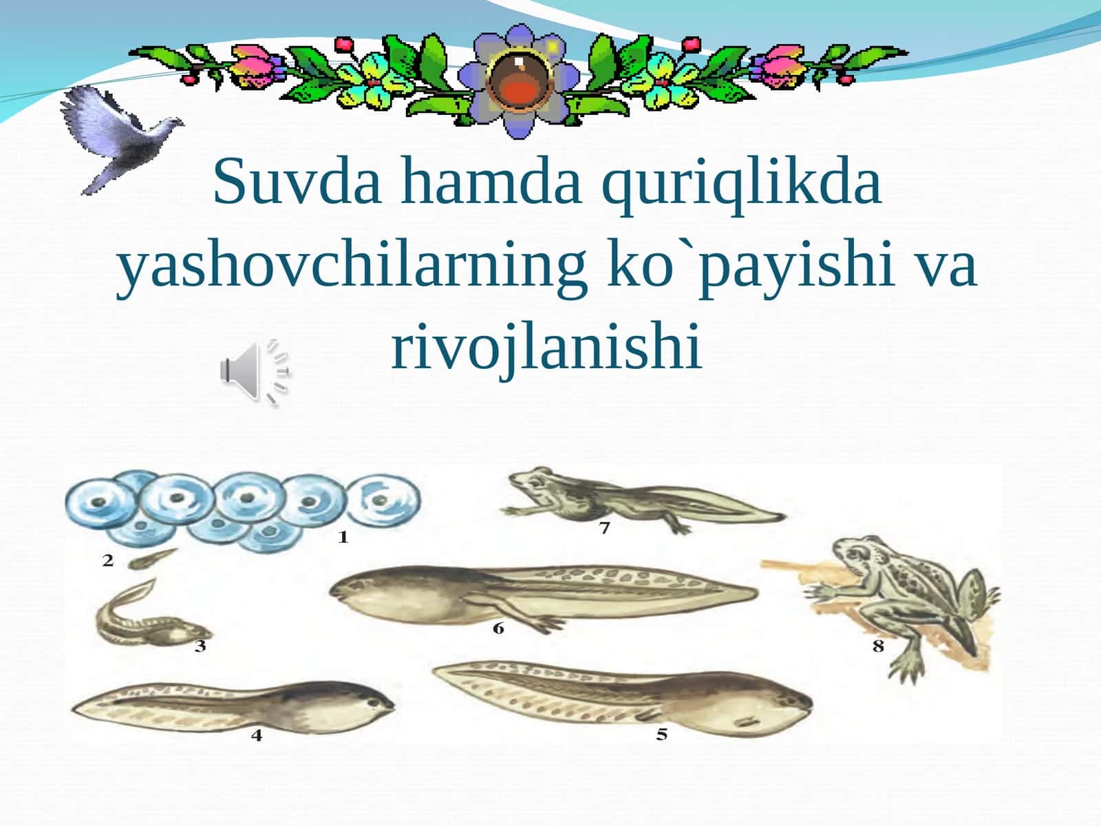 Suvda hamda quriqlikda yashovchilarning ko`payishi va rivojlanishi