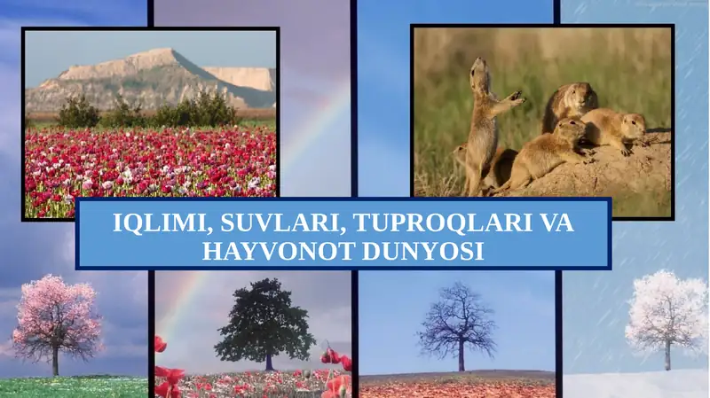 Iqlimi