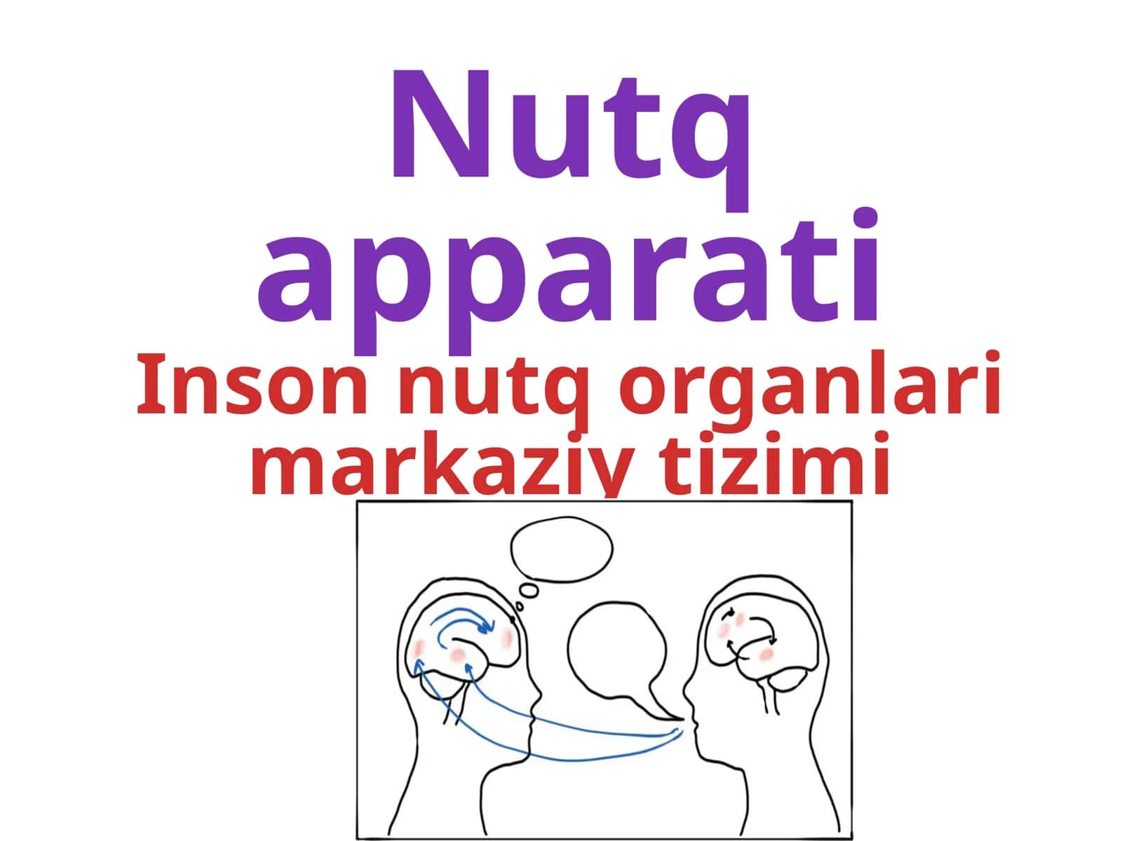 Nutq apparati