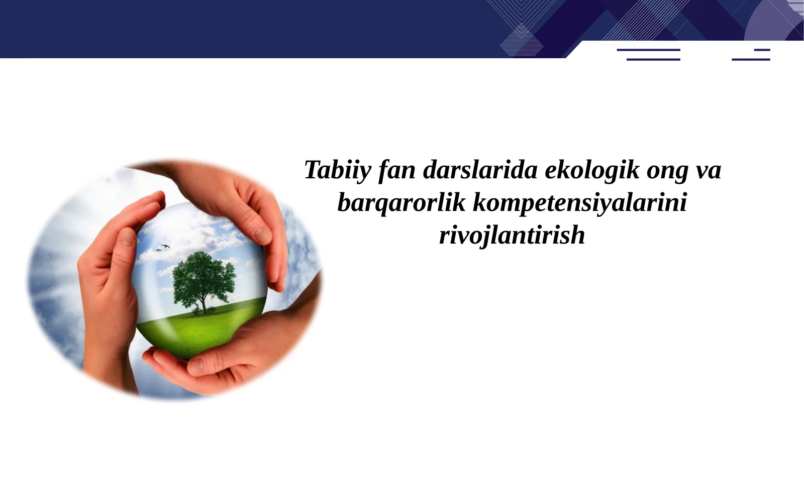 Ekologik Ong va Barqarorlik Kompetensiyalari