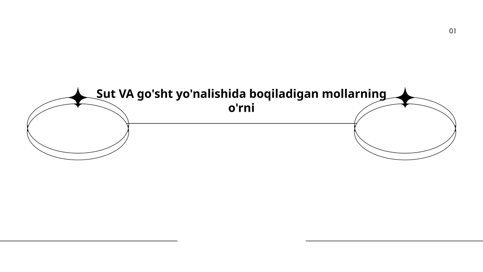 Mol go'shti xususiyatlari