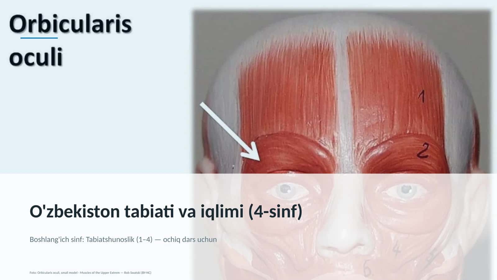O'zbekiston tabiati va iqlimi (4-sinf)