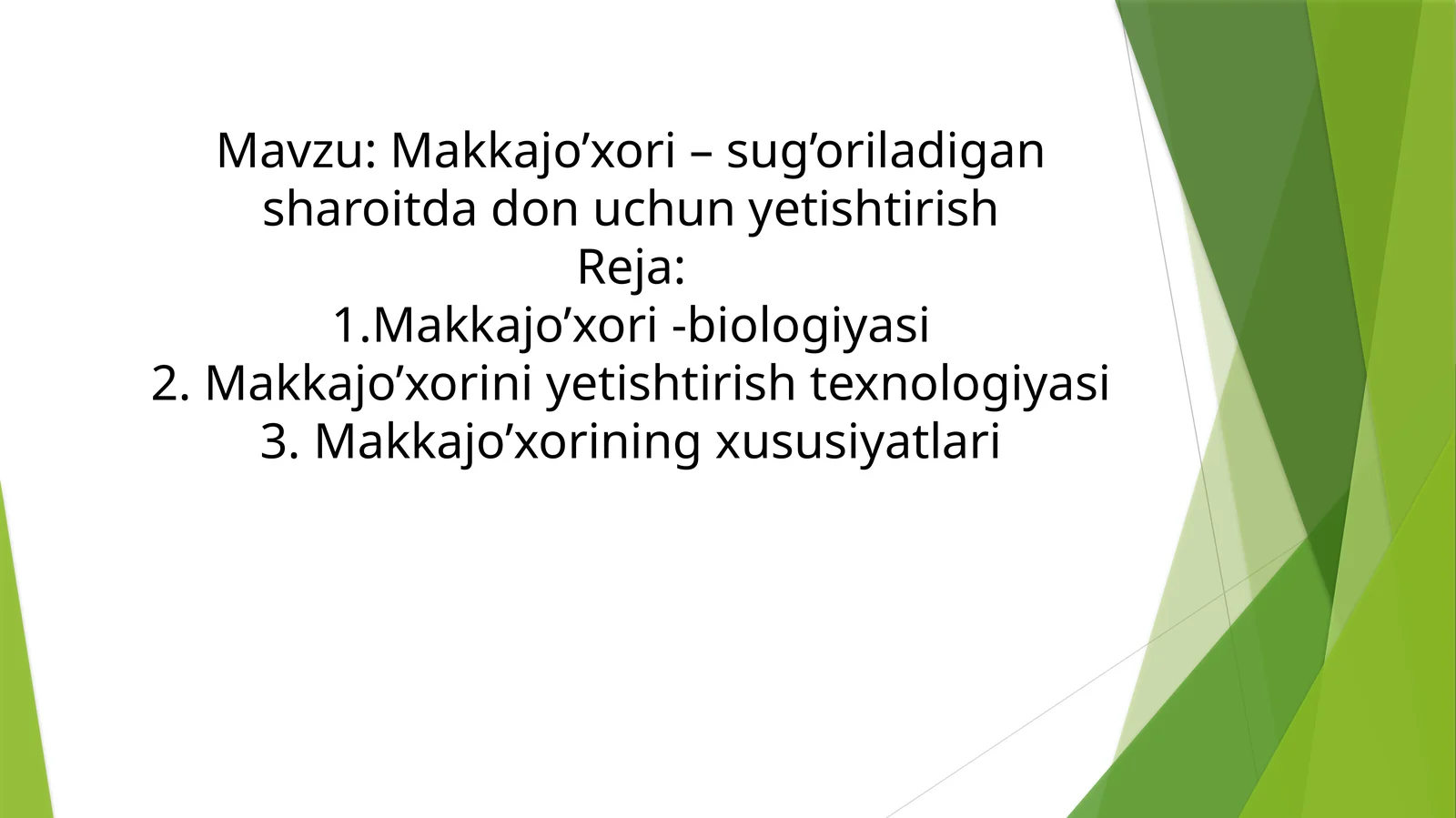 Makkajo’xori–sug’oriladigansharoitdadonuchunyetishtirish