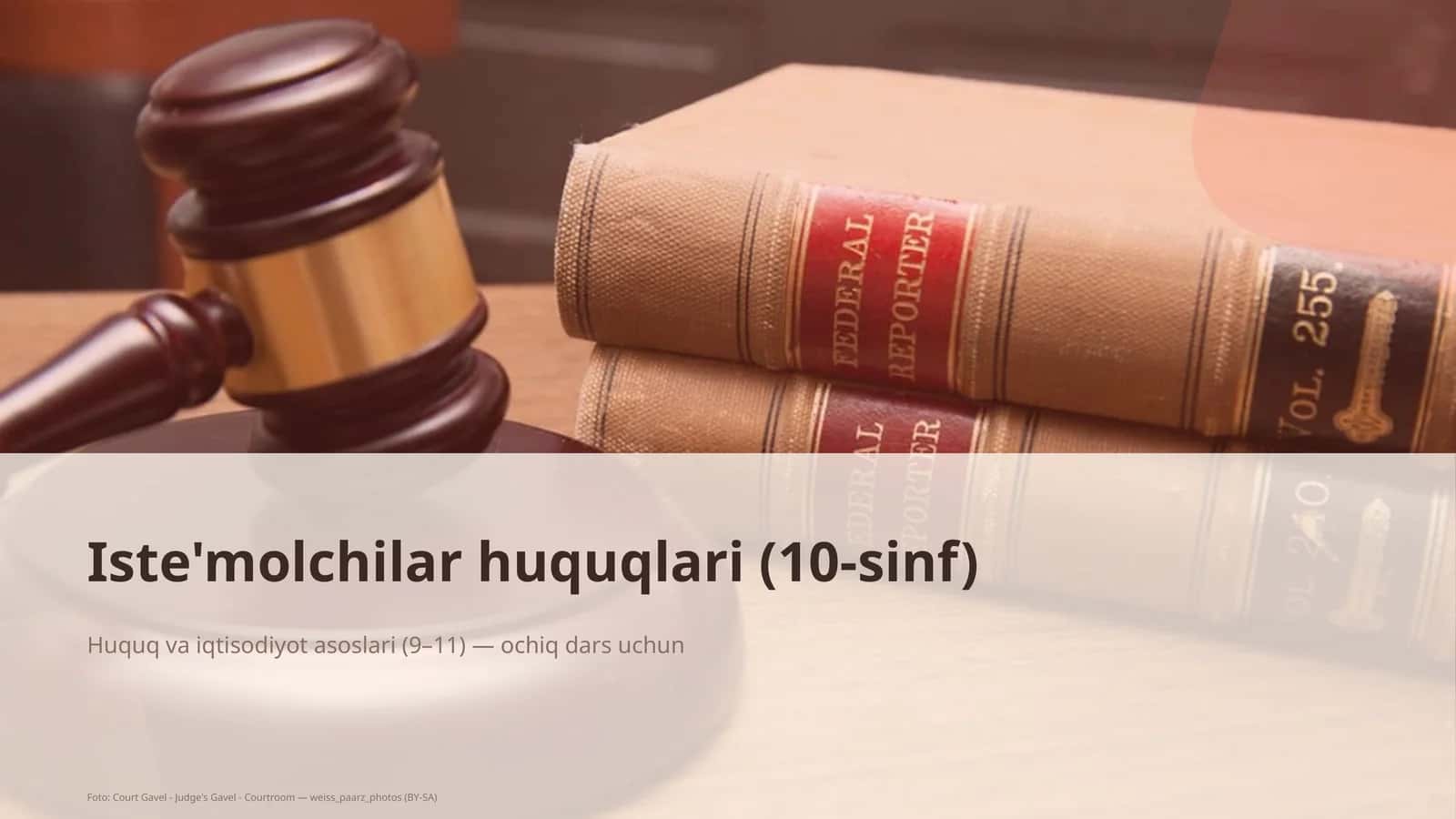Iste'molchilar huquqlari (10-sinf)