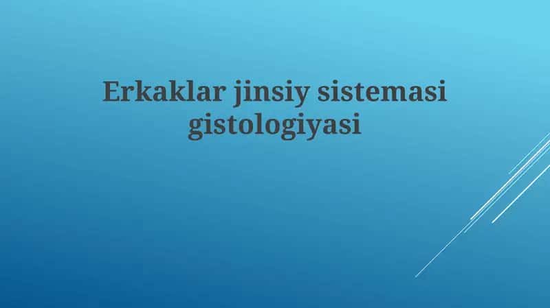 Erkaklar jinsiys sistemasining gistologiyasi
