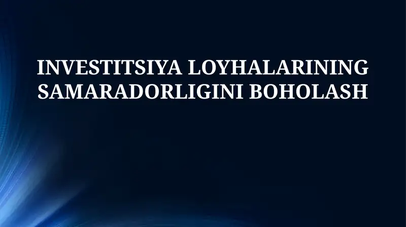 Investitsiya loyhalaring samaradorligini boholash