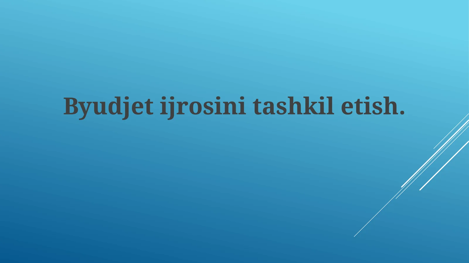 Byudjet ijrosini tashkil etish