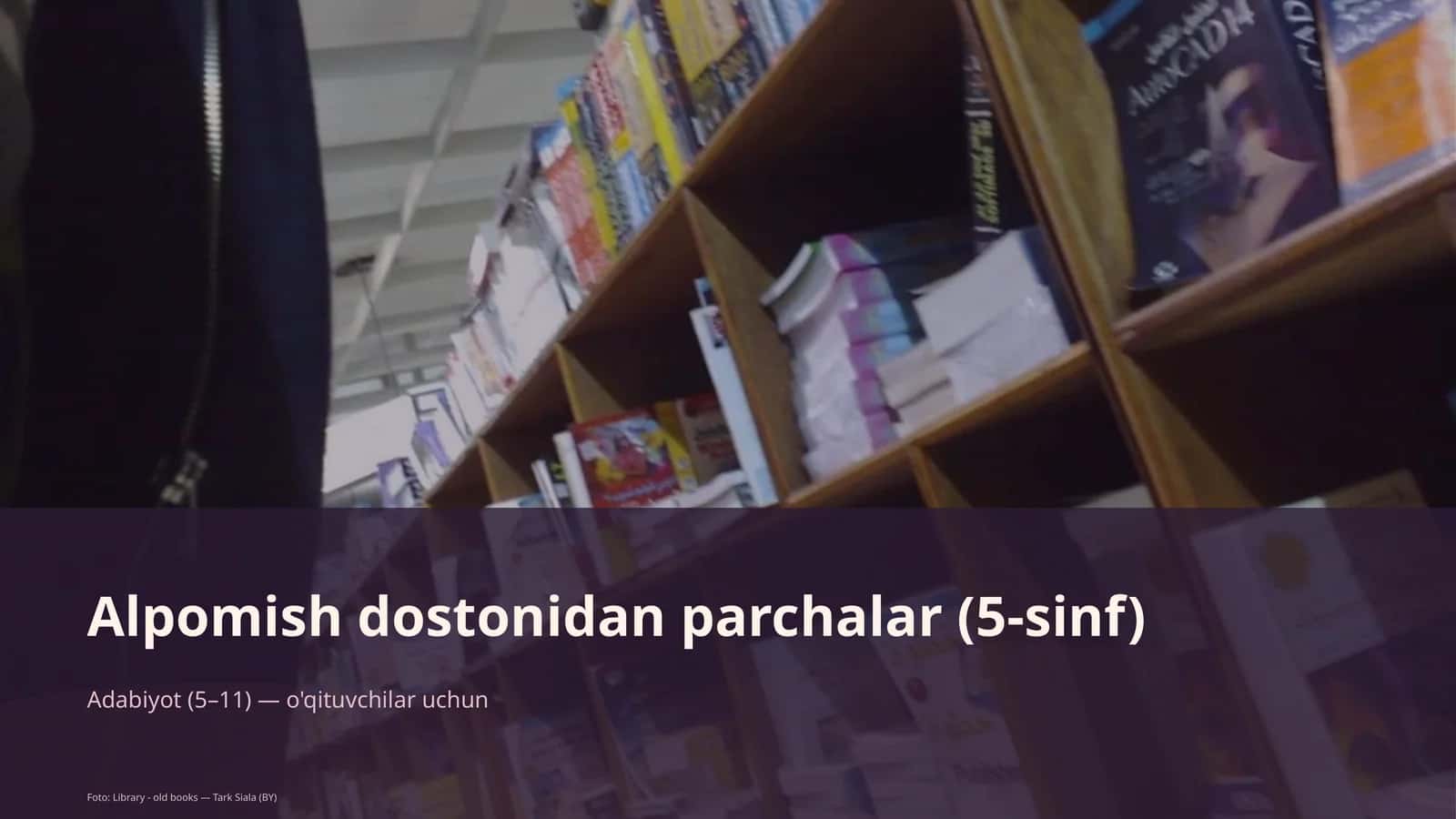 Alpomish dostonidan parchalar (5-sinf)