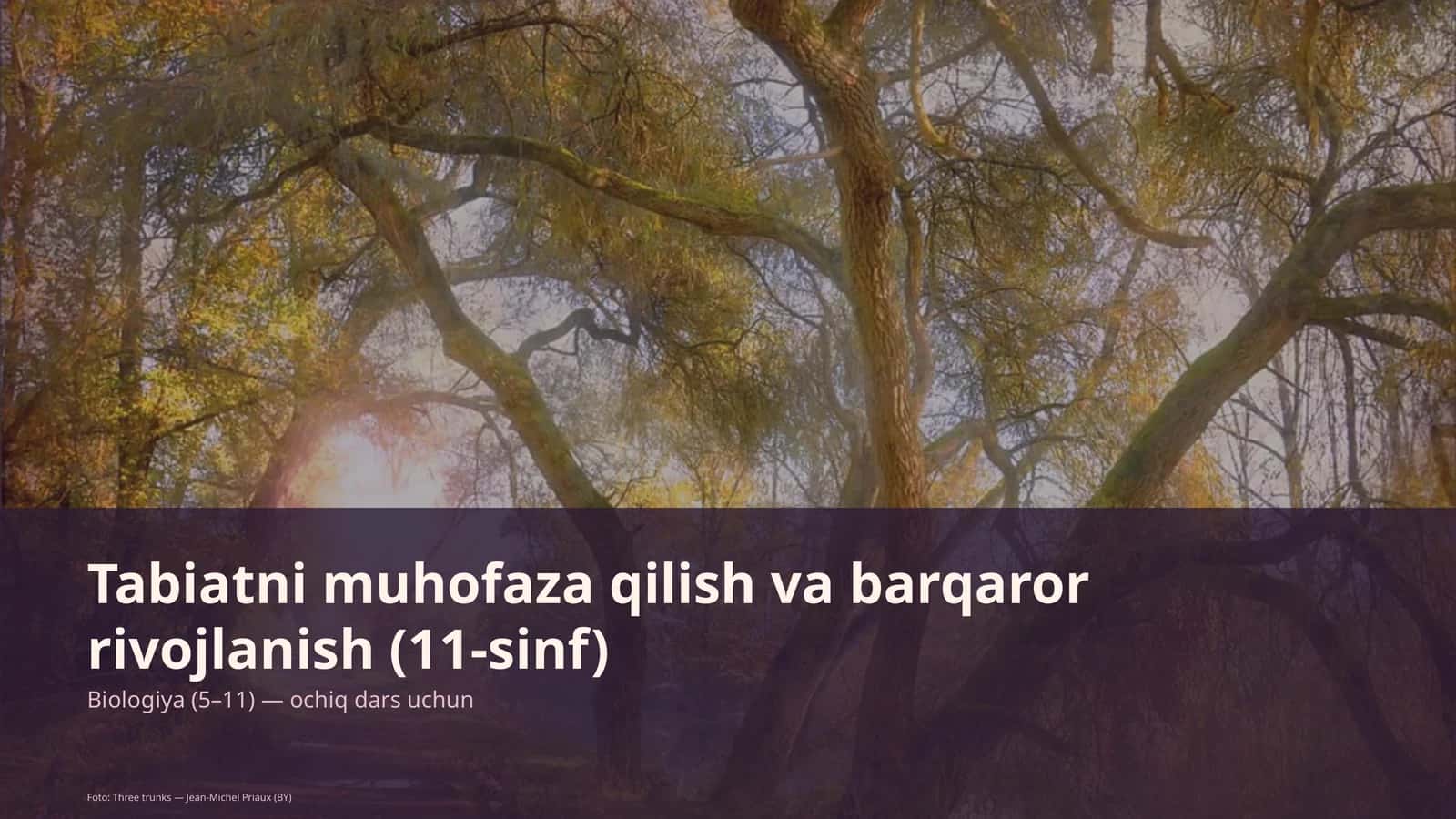 Tabiatni muhofaza qilish va barqaror rivojlanish (11-sinf)