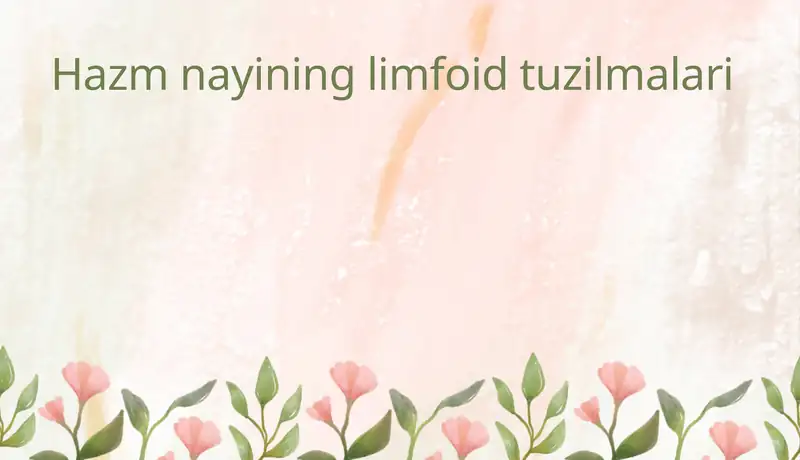 Hazm nayining limfoid tuzilmalari