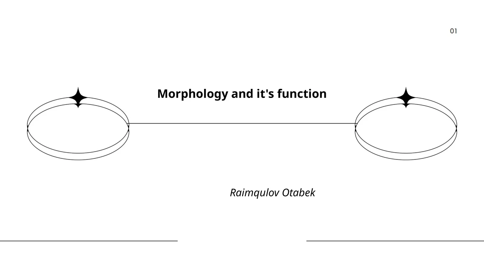 Morphologiya va uning funktsiyalari