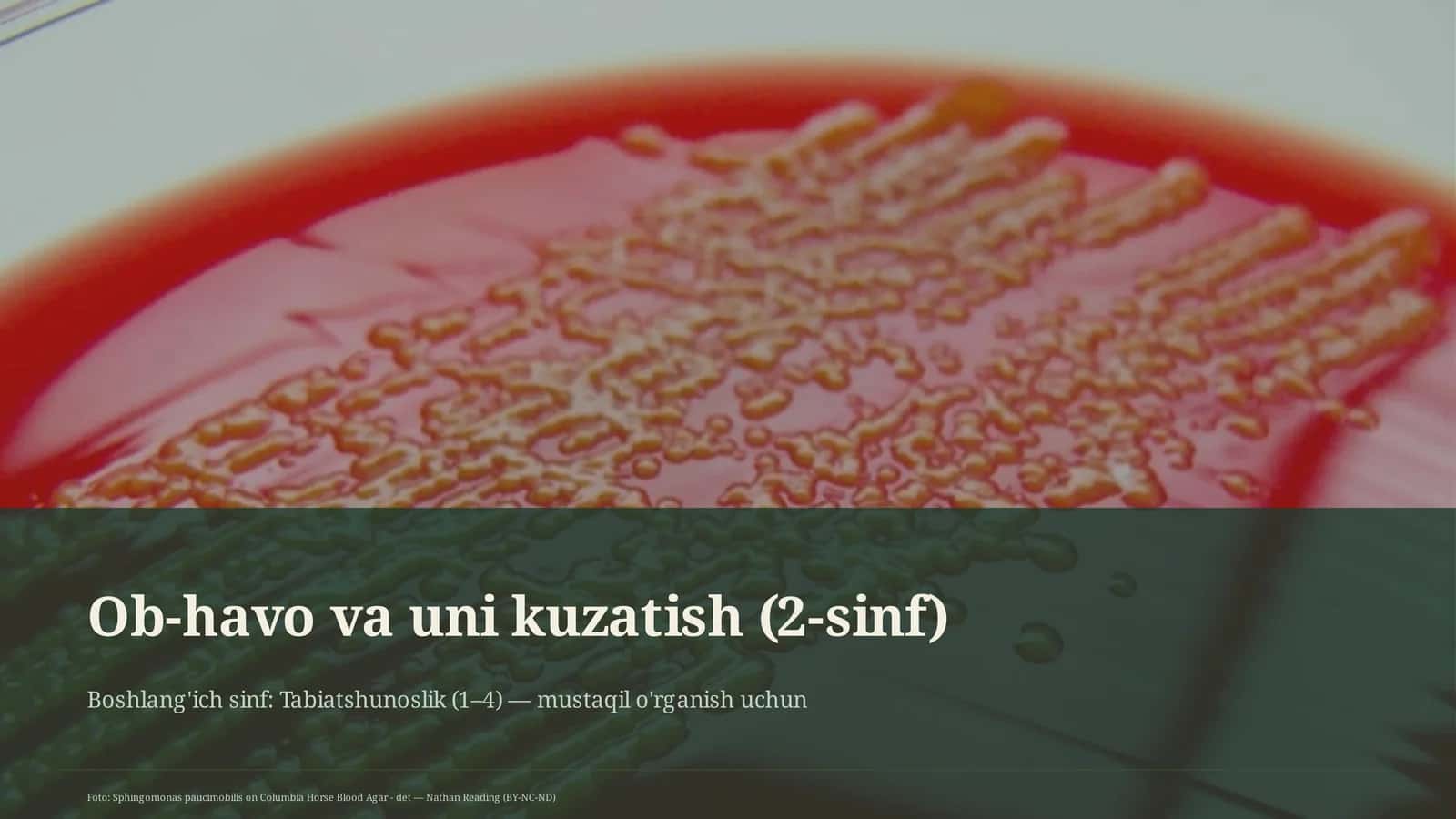 Ob-havo va uni kuzatish (2-sinf)