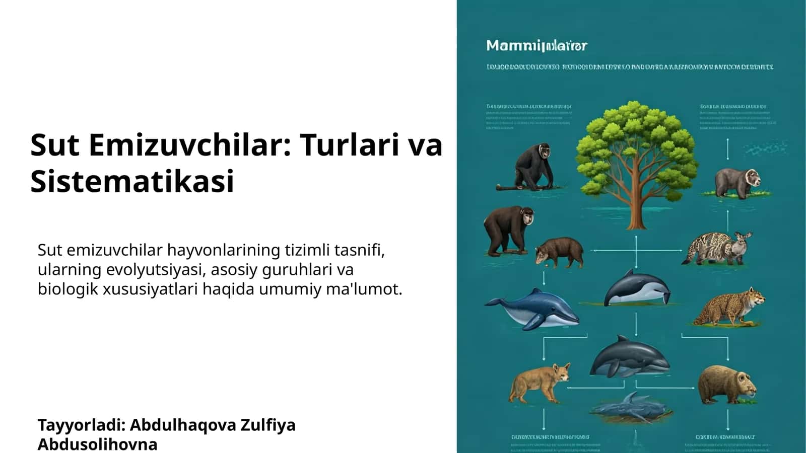 Sut Emizuvchilar: Turlari va Sistematikasi