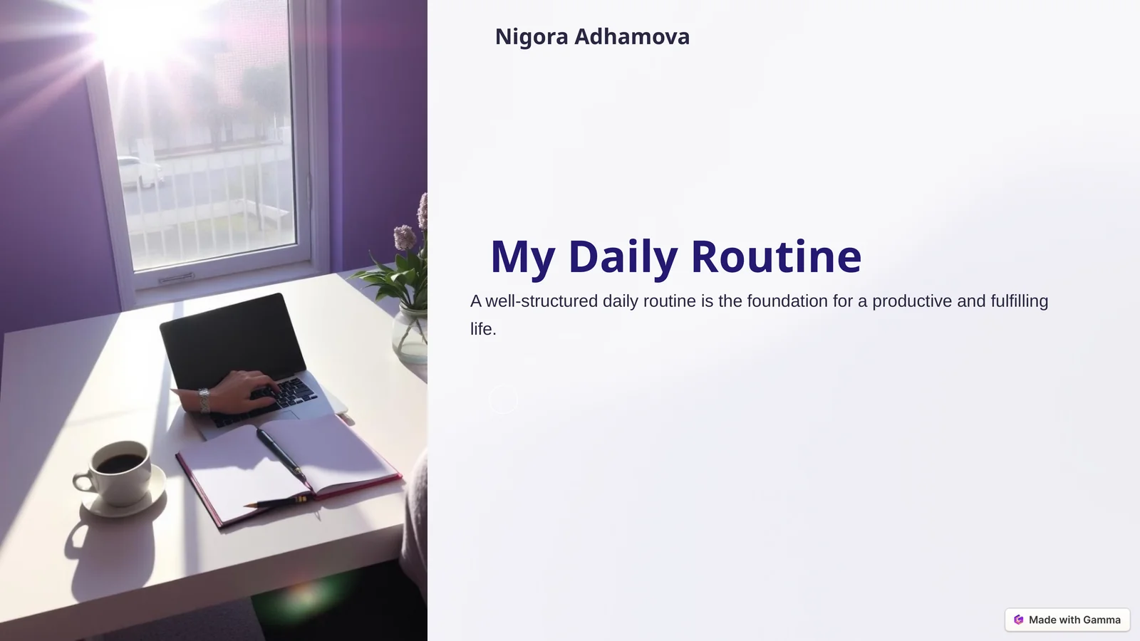 My Daily Routine