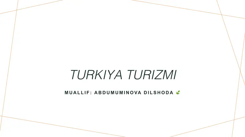 Turkiya turizmi