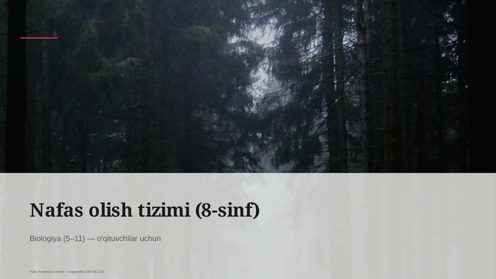 Nafas olish tizimi (8-sinf)