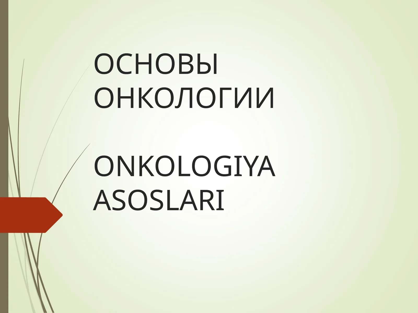 ОСНОВЫ ОНКОЛОГИИONKOLOGIYA ASOSLARI