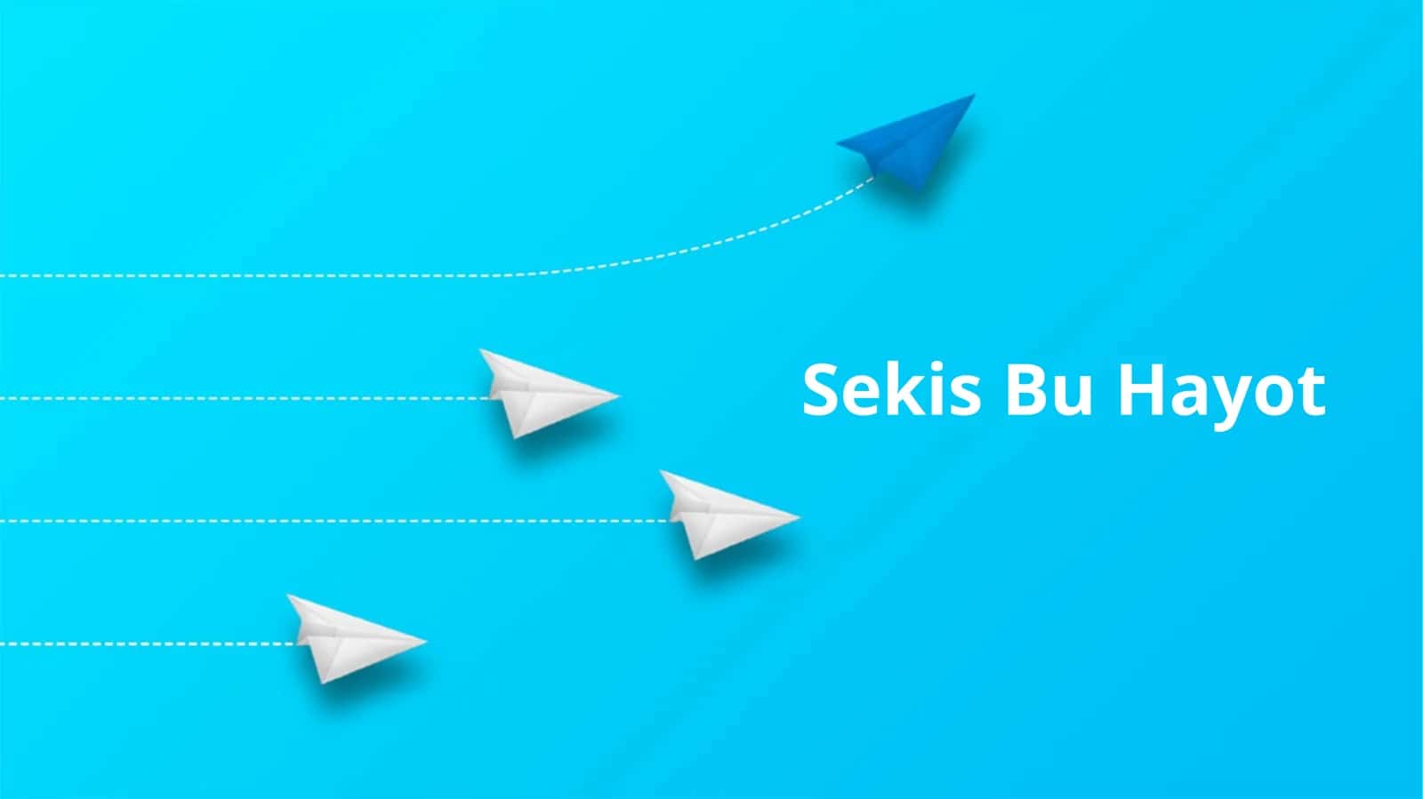 Sekis Bu Hayot