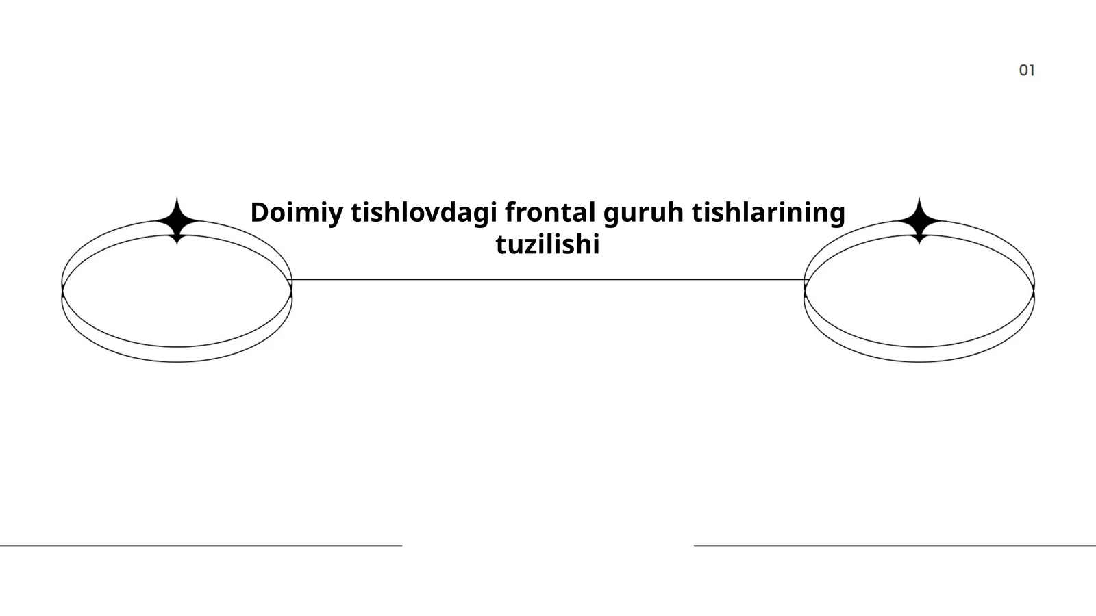 Doimiy tishlovdagi frontal guruh tishlarining tuzilishi
