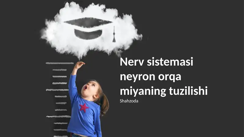 Nerv sistemasi neyron orqa miyaning tuzilishi