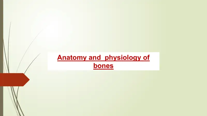 Anatomy and physiology of bones