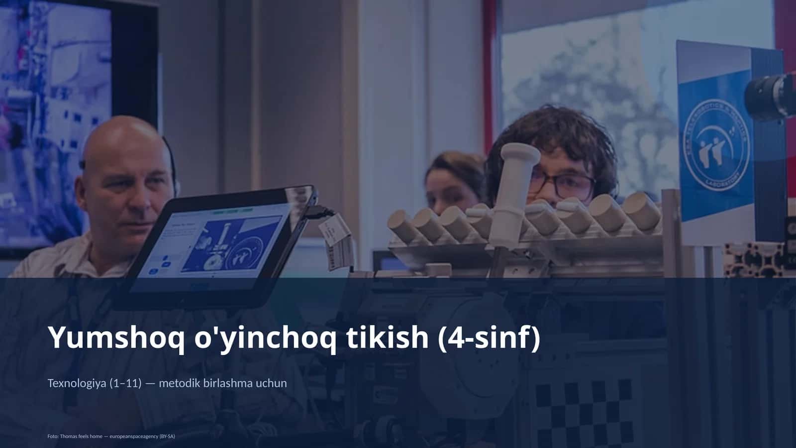 Yumshoq o'yinchoq tikish (4-sinf)