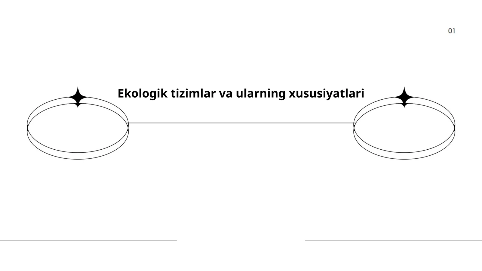Ekologik tizimlar va ularning xususiyatlari