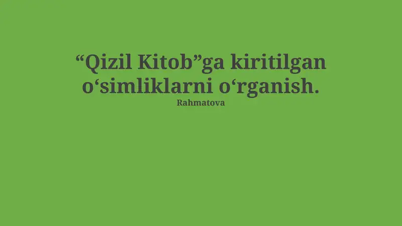 Qizil Kitob