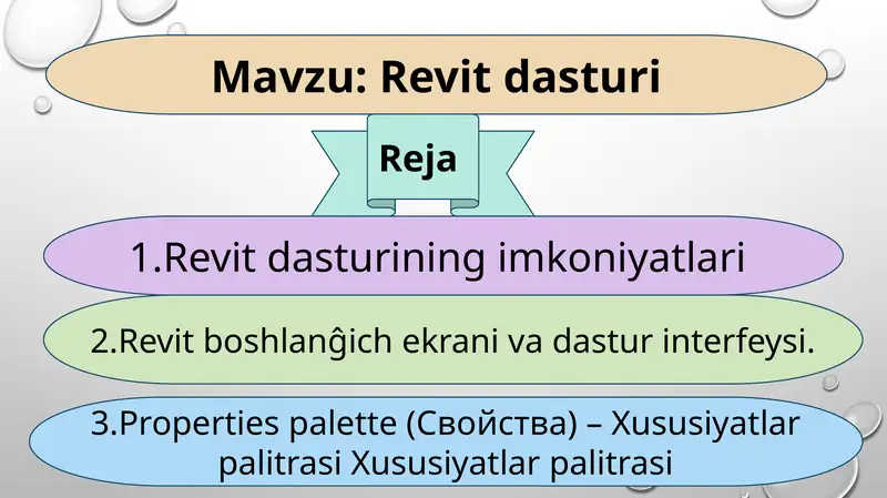 Revitdasturi